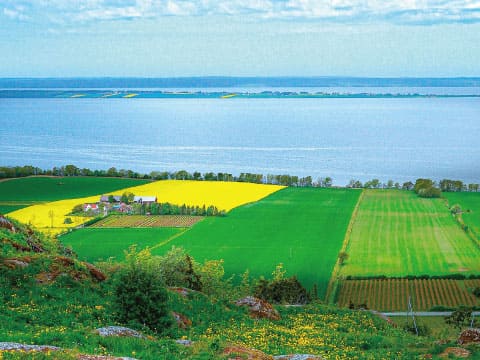 南スウェーデンの田園風景