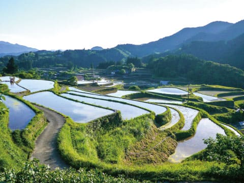 日本の棚田
