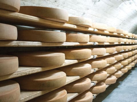 棚に並べられた発酵中のチーズ