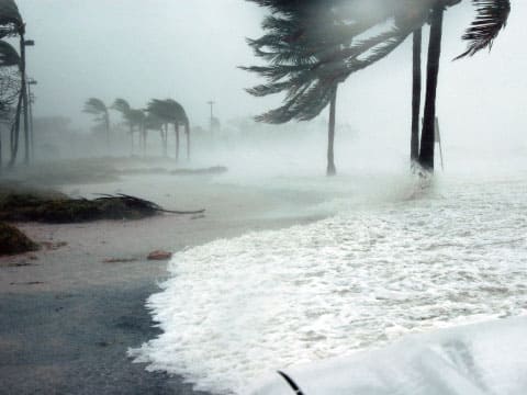 暴風・台風