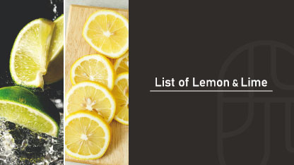 フレッシュなレモンスライスとライムカットをモデルにしたレモンジュース・ライムジュースを使うカクテルリストのタイトル