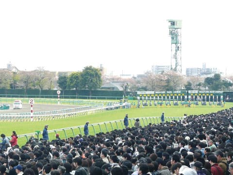 競馬場