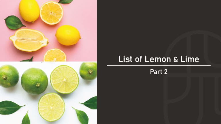 フレッシュなレモンとライム